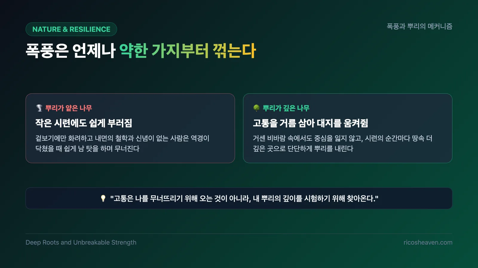 [인문/철학] 버텨라 끝까지 버티는 자가 결국 이긴다: 니체 <초월자>가 전하는 인내의 힘